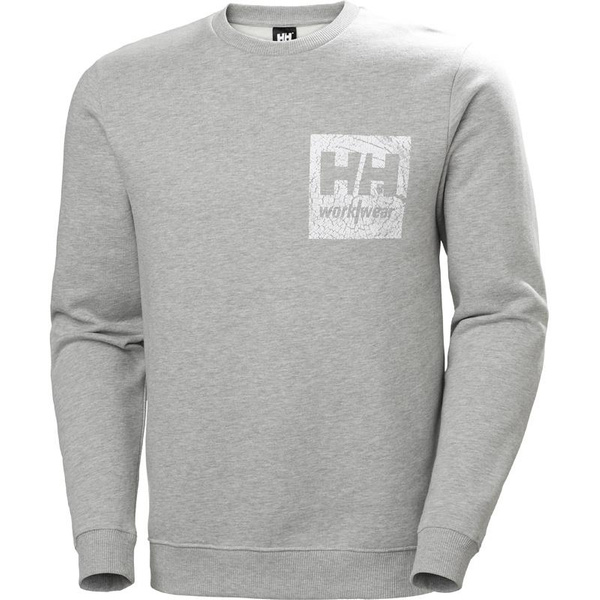 Bluza Helly Hansen 79263_930 Graphics/Logo kolor szary