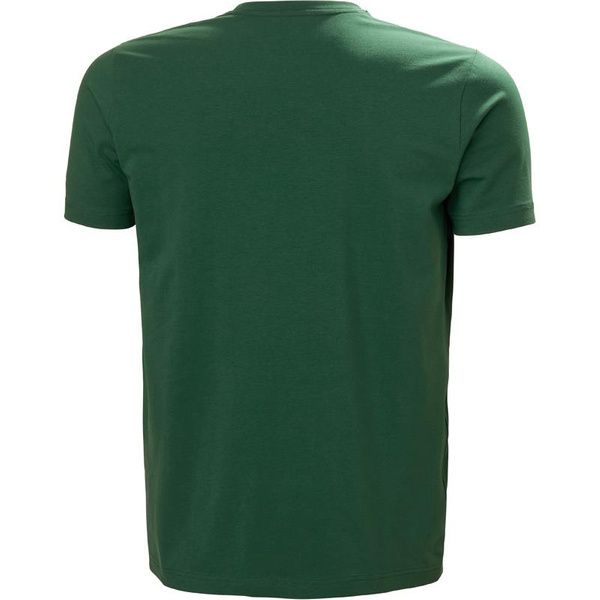 Koszulka Helly Hansen 79261_460 Graphics/Logo kolor zielony
